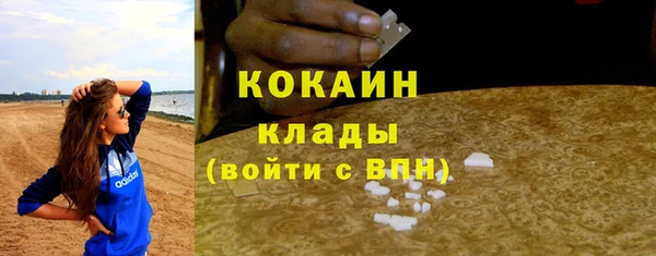 PSILOCYBIN Богородицк