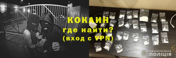 PSILOCYBIN Богородицк