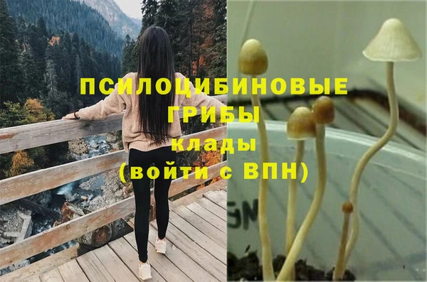 PSILOCYBIN Богородицк