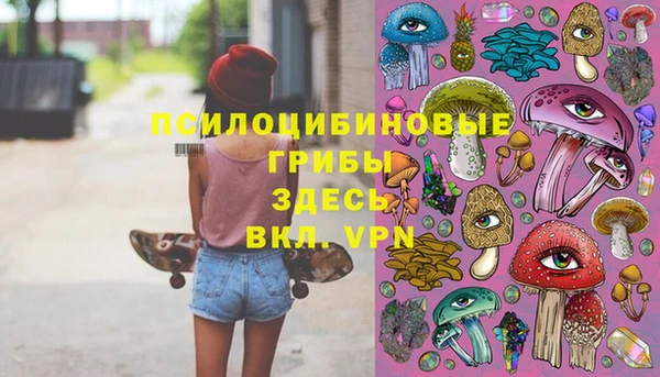 прущая мука Богданович