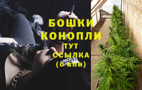 PSILOCYBIN Богородицк