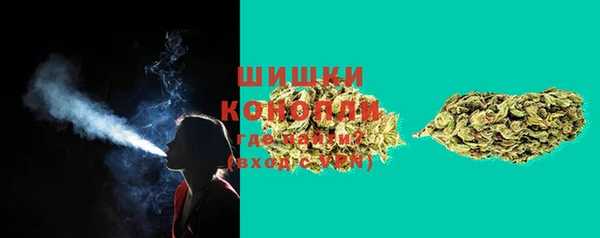 прущая мука Богданович