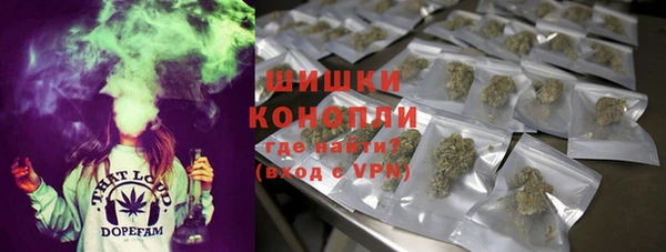 PSILOCYBIN Богородицк